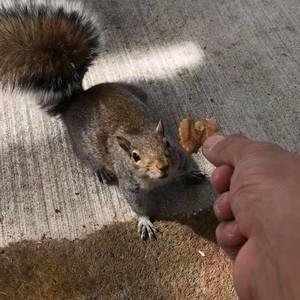 Meet your Posher, Eric